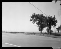 View of street, cliffs and ocean on Ocean Ave., Santa Monicam circa 1952