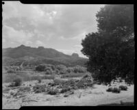 Landscape view in the area of Deadman's Point, Apple Valley vicinity, 1949