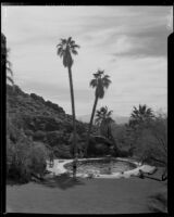 Swimming pool at the Palm Springs Tennis Club, Palm Springs, 1941
