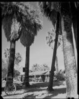 Distant view towards Paul P. Wilhelm and Dorie Doney in front of the main house at 1000 Palms Ranch, Thousand Palms vicinity, 1941