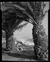 Carolyn Bartlett beneath palm trees on a Palisades Park cliff, Santa Monica, 1946