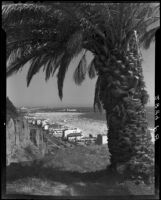 Santa Monica coastline from the Palisades Park cliffs at Montana Avenue, Santa Monica, 1946-1952