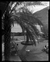 Bird's-eye view of Ann Pruden and Mary Conners in outdoor area with palm trees, Palm Springs, 1940