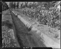 Irrigation trench, Fontana, 1928-1931