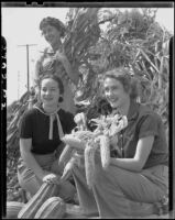 Jane Riley, Naida Sparks and Dorothy Dittrick harvesting a garden in Ocean Park Heights, Santa Monica, 1935