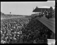 Crowds at the racetrack, Santa Anita Park, Arcadia, 1940