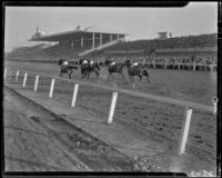 Horse race with grandstand in view, Santa Anita Park, Arcadia, 1940