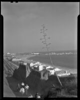 Beach goers walking up the Idaho path from the California Incline to Palisades Park, Santa Monica, 1938
