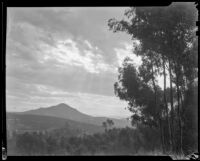 View of the Mount Helix neighborhood near San Diego, La Mesa, 1936