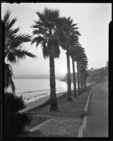 Pacific coastline and drive, Santa Barbara, 1939
