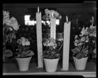 Spring flower and candle display at California Flowerland nursery, Mar Vista, 1940-1965