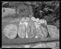 Samples of ornamental pavement stone, Los Angeles, 1950-1965
