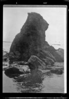 California bear rock, copy print, probably Pacific Coast of California