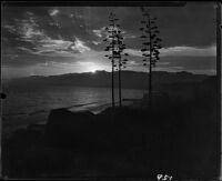 Sunset view of century plants and Santa Monica Bay, Santa Monica, 1928