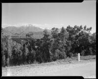Roadside view towards hillside with trees and mountains, Redlands vicinity, 1937