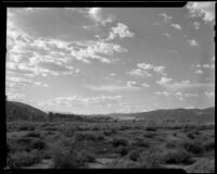 Distant view towards the palm grove at 1000 Palms Ranch, Thousand Palms vicinity, 1930