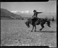 Cowboy saddle bronc riding at a rodeo at the Palm Springs Field Club, 1937