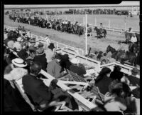 Spectators in the stands watch a row of equestrians on the track at the Palm Springs Field Club, 1937