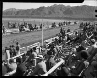Spectators in the stands watch equestrians on the track at the Palm Springs Field Club, 1937