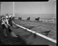 Spectators in sombreros watching a harness race at the Palm Springs Field Club, circa 1941