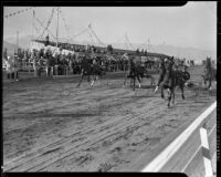 Approaching horses in a harness race at the Palm Springs Field Club, circa 1941