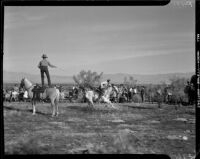 Lasso event at a breakfast ride, Palm Springs vicinity, 1941