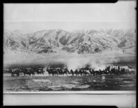 Twenty-mule team hauling borax through Death Valley, photograph 1896, copy print circa 1954