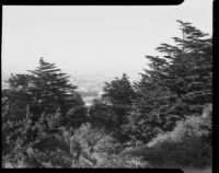 View towards Palo Alto from the hills above, 1930s