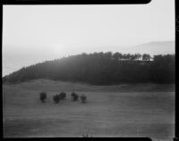 Possible golf course with an ocean view, Carmel, 1930s