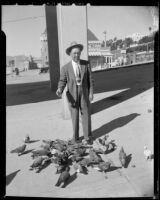 A. C. Robinson feeding pigeons near the Deauville Club, Santa Monica, 1940s