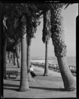 Margaret Barge seated on the branch fence at Palisades Park, Santa Monica, 1946