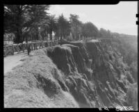 Cliff edge of Palisades Park with trees behind a twisted branch fence, Santa Monica, 1930-1945