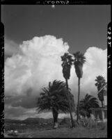 View from 160 Adelaide Drive, Santa Monica, 1939-1949
