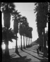 Woman watching sunset from Palisades Park, Santa Monica, 1939-1940
