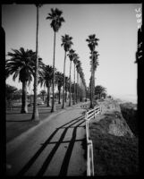 Pathway along the cliff's edge at Palisades Park, Santa Monica, 1946-1949