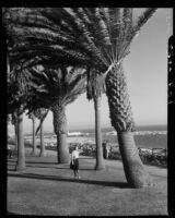 Woman among palm trees at Palisades Park, Santa Monica, 1937-1946