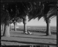 Couple with dog seated among palm trees on lawn at Palisades Park, Santa Monica, 1937-1950