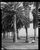 Family picnicking at Palisades Park, Santa Monica, 1937-1950