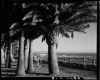 Carolyn Bartlett seated on the palm lawn at Palisades Park, Santa Monica, 1937-1950