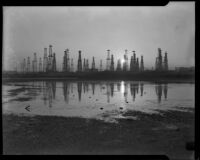 Field of oil derricks, Long Beach, 1938