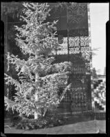 Flocked Christmas tree, 1938