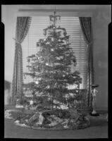 Christmas tree in front of a living room window, Santa Monica, 1938