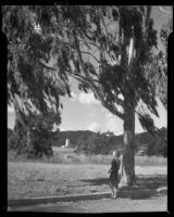 Woman standing next to a eucalyptus tree at Huntington Palisades, Los Angeles, 1950