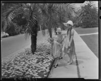 Clara Bartlett, Carolyn Bartlett and Dorothy admiring Daisies on 2nd Street, Santa Monica, circa 1926-1930