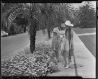 Clara Bartlett, Carolyn Bartlett and Dorothy admiring Daisies on 2nd Street, Santa Monica, circa 1926-1930
