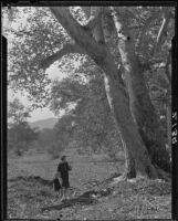 Clara Bartlett with her daughter Carolyn looking at a pair of large oak trees, Atascadero, 1929