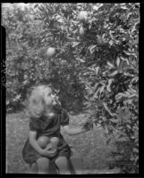 Little girl seated next to an orange tree in an orchard, Fontana, 1928-1965