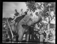 People going on elephant ride in Balboa Park, San Diego