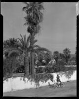 Carolyn Bartlett stopped with her bicycle outside of a walled garden, Palm Springs, 1940