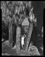 Betty Shafer at a desert oasis, Palm Springs vicinity, 1942
